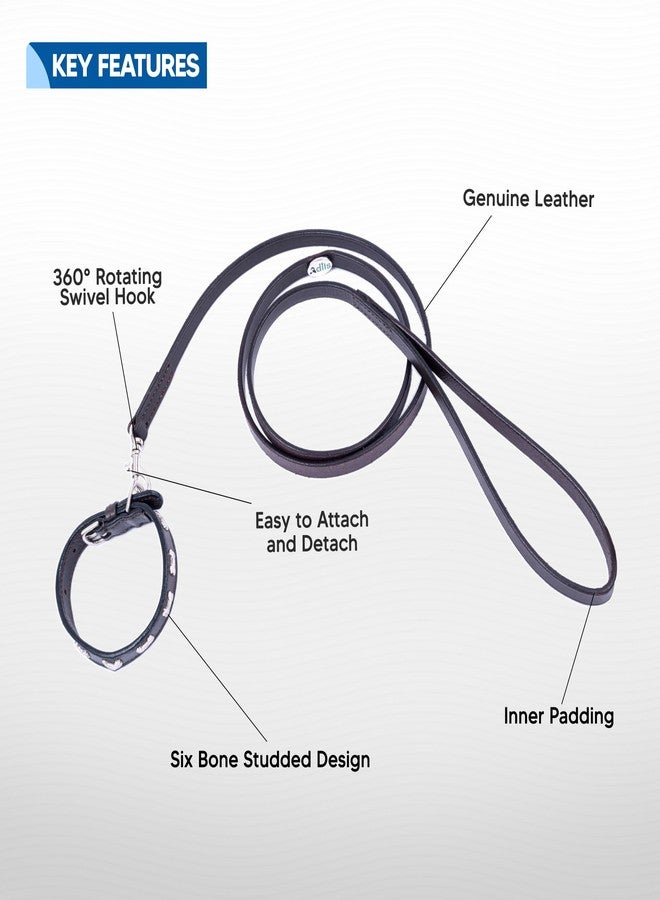 ADIL'S Adil’S Leather Cat Collar & Leash Set - Stylish Seven Bone Studded Design Collar, Genuine Leather, Adjustable Buckle & Secure 5ft Leash for Safe and Comfortable Outdoor Activity (Brown) - Image 2